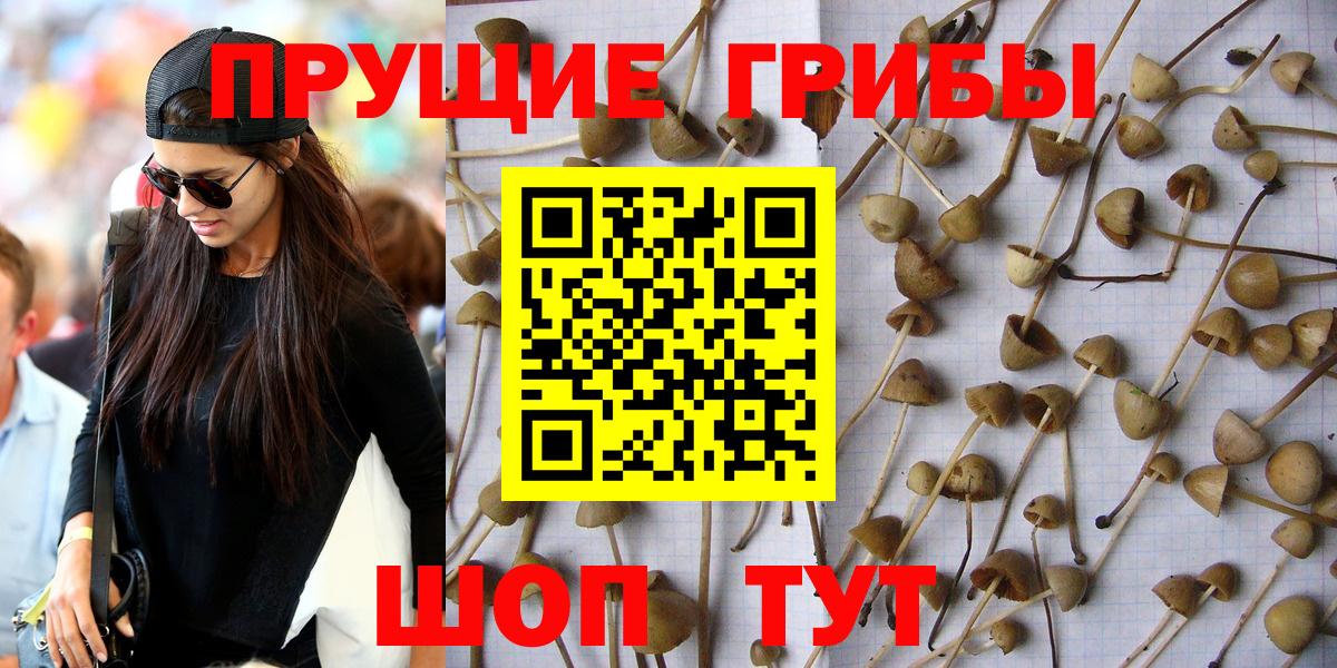 Галлюциногенные грибы мицелий Краснокаменск
